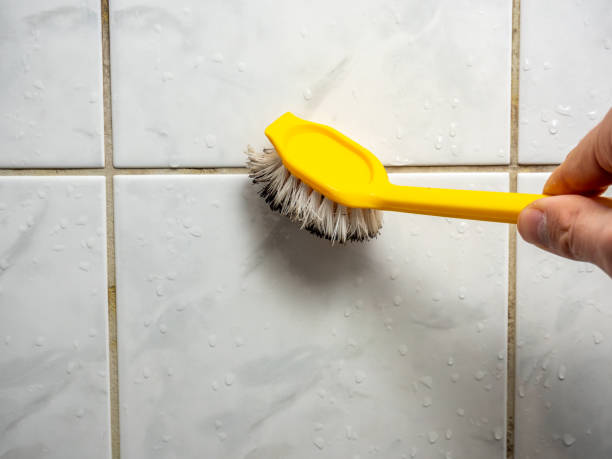 Best Health and Safety Mold Remediation in Bishop, TX