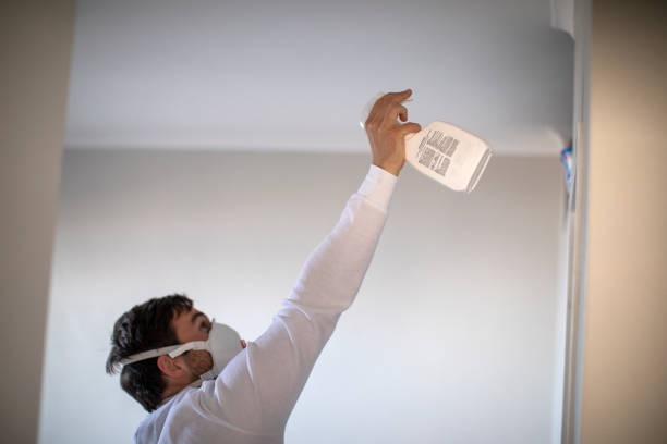 Best Residential Mold Remediation in Bishop, TX