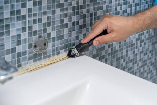 Best Basement Mold Remediation in Bishop, TX