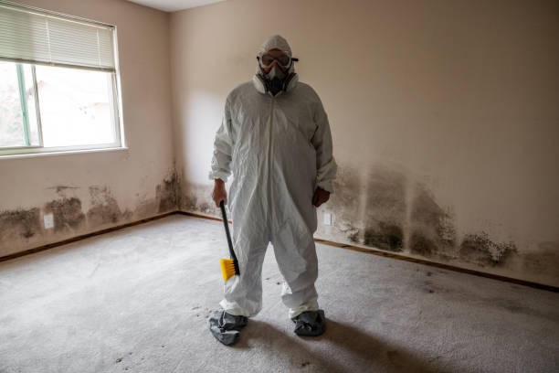 Best White Mold Remediation in Bishop, TX